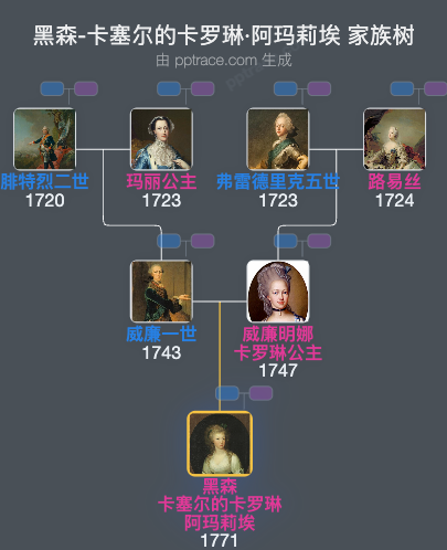 黑森-卡塞尔的卡罗琳·阿玛莉埃家族树全览