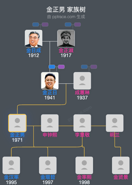 金正男 家族树全览