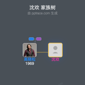 沈欢 家族树全览