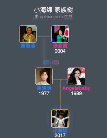 小海绵 家族树全览