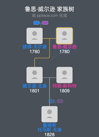 鲁思·威尔逊家族树全览