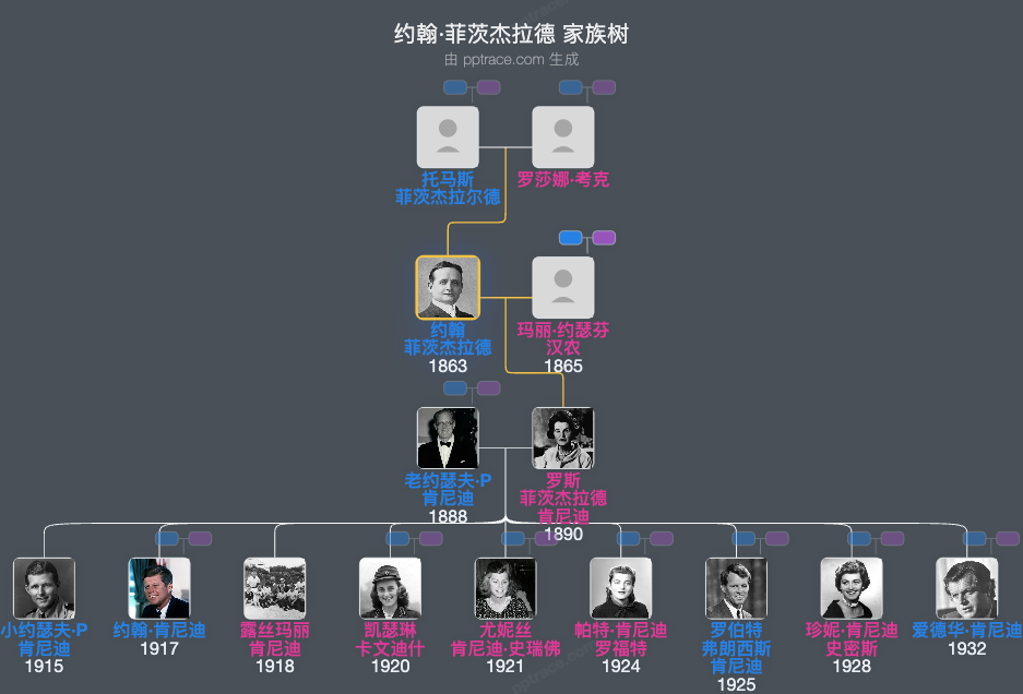 约翰·菲茨杰拉德家族树全览