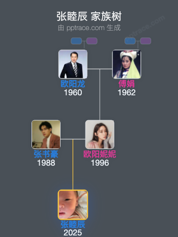 张睦辰 家族树全览