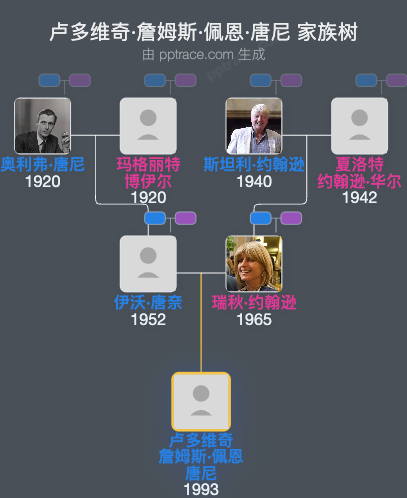 卢多维奇·詹姆斯·佩恩·唐尼家族树全览