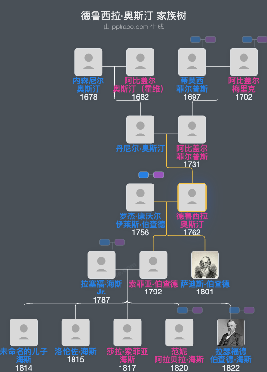 德鲁西拉·奥斯汀家族树全览
