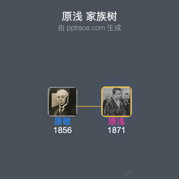 原浅家族树全览