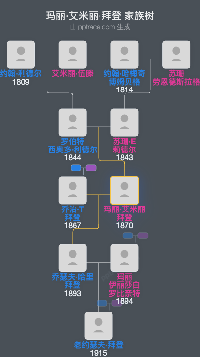 玛丽·艾米丽·拜登家族树全览