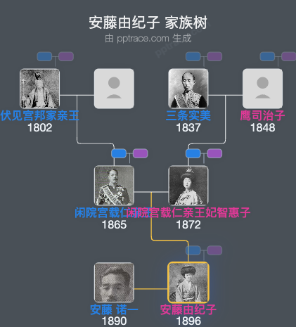 安藤由纪子家族树全览
