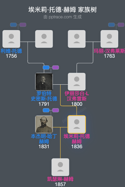 埃米莉·托德·赫姆家族树全览