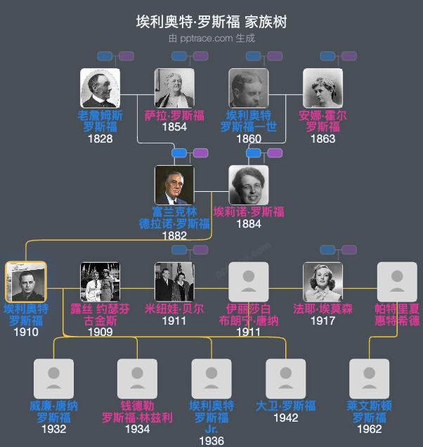 埃利奥特·罗斯福家族树全览