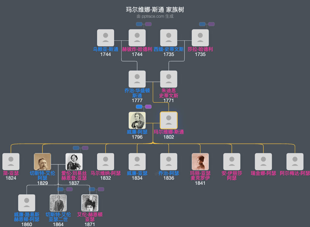玛尔维娜·斯通家族树全览