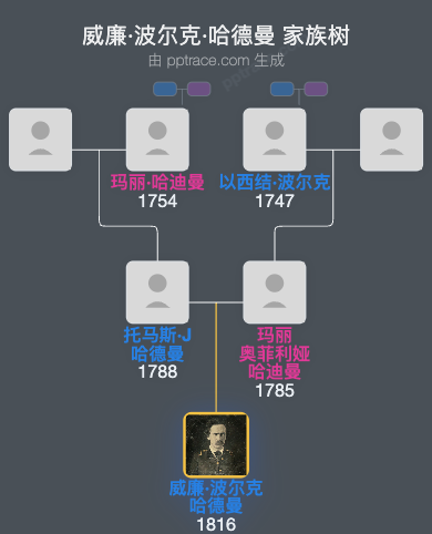 威廉·波尔克·哈德曼家族树全览