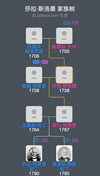 莎拉·斯洛康家族树全览