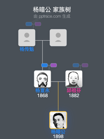 杨暗公 家族树全览