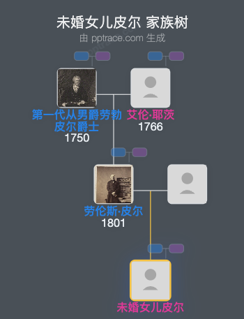 未婚女儿皮尔家族树全览