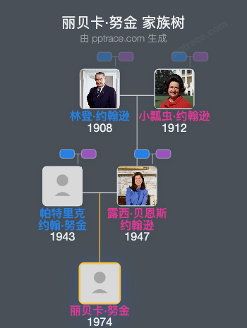 丽贝卡·努金家族树全览