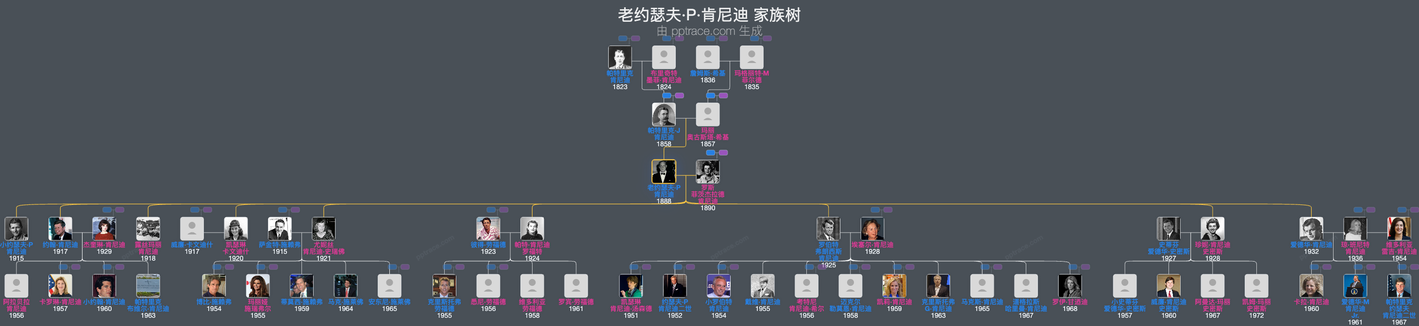 老约瑟夫·P·肯尼迪家族树全览