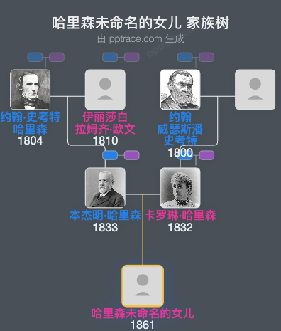 哈里森未命名的女儿家族树全览