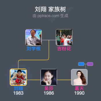 刘翔家族树全览