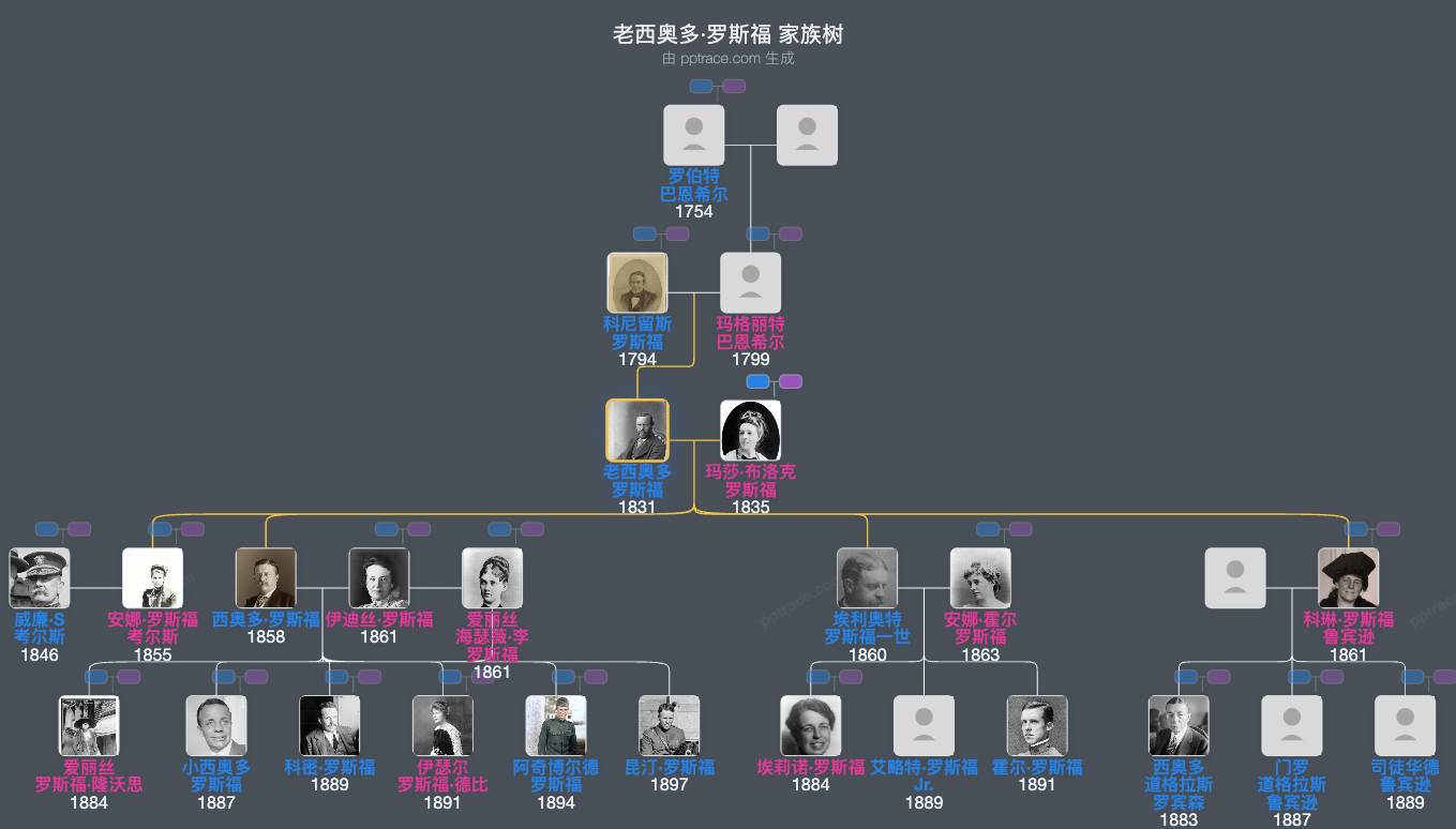 老西奥多·罗斯福家族树全览