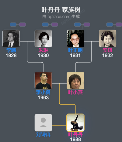 叶丹丹 家族树全览