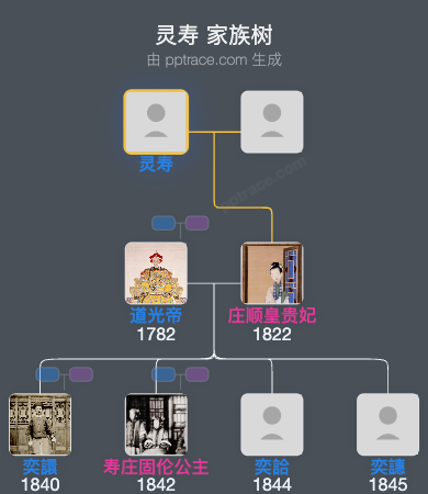 灵寿家族树全览
