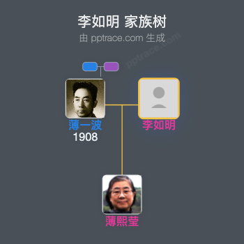 李如明 家族树全览