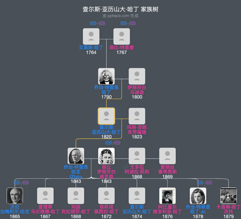 查尔斯·亚历山大·哈丁家族树全览