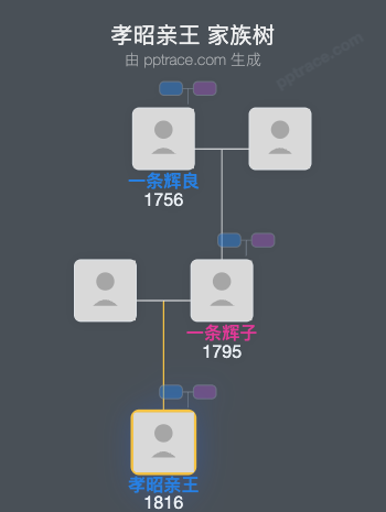 孝昭亲王家族树全览