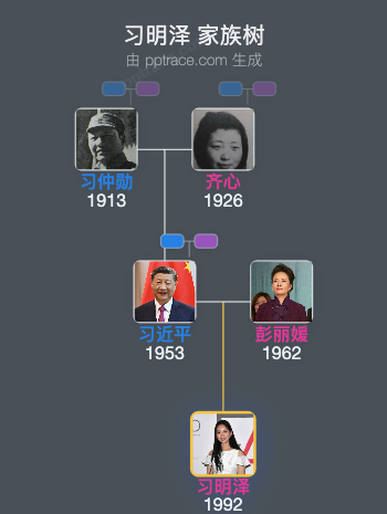 习明泽 家族树全览