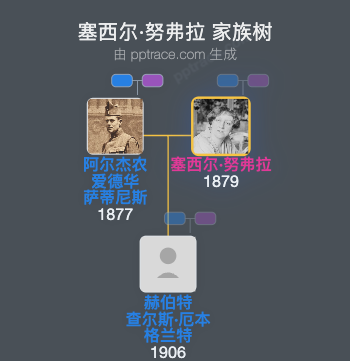 塞西尔·努弗拉家族树全览