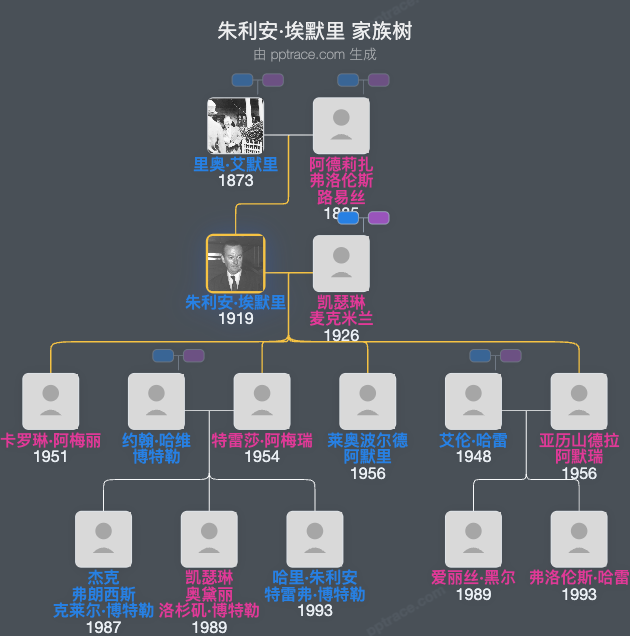 朱利安·埃默里家族树全览