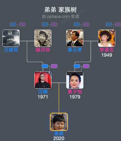 弟弟 家族树全览