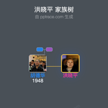 洪晓平 家族树全览