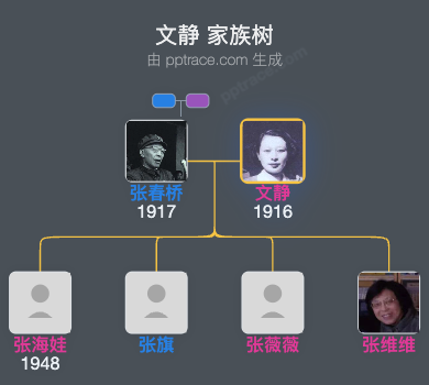 文静 家族树全览