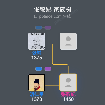 张敬妃家族树全览