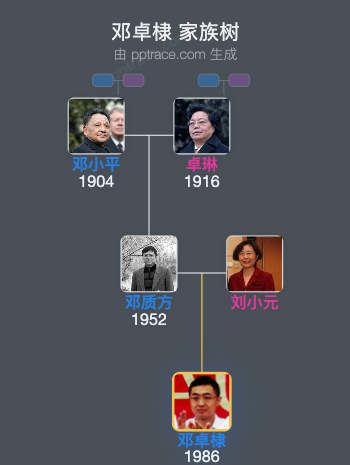 邓卓棣 家族树全览