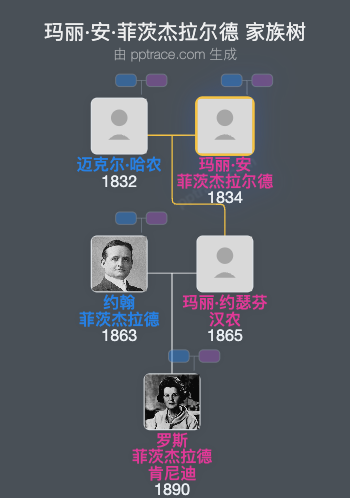 玛丽·安·菲茨杰拉尔德家族树全览