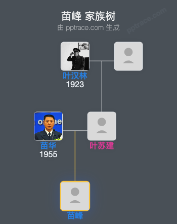 苗峰 家族树全览