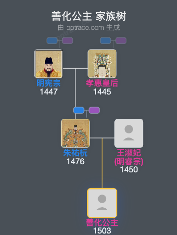 善化公主家族树全览