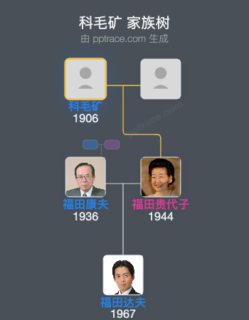 科毛矿家族树全览