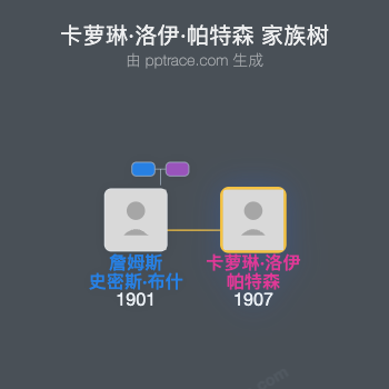 卡萝琳·洛伊·帕特森家族树全览