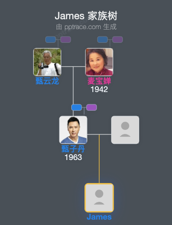 James 家族树全览