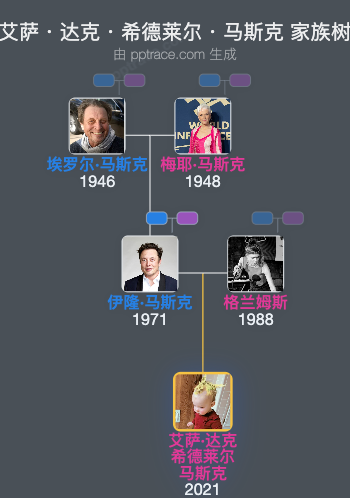 艾萨・达克・希德莱尔・马斯克 家族树全览