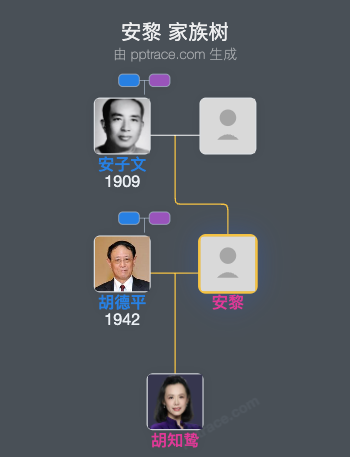 安黎 家族树全览