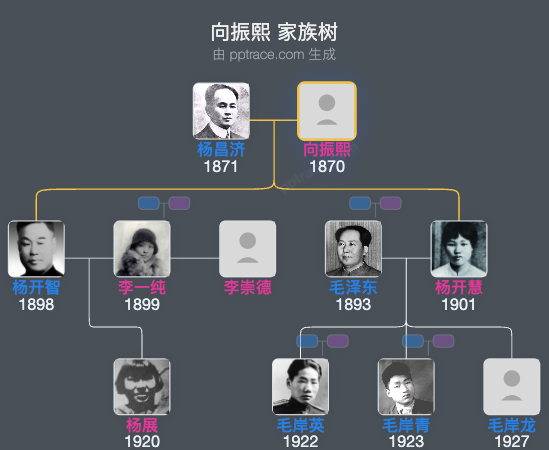 向振熙 家族树全览