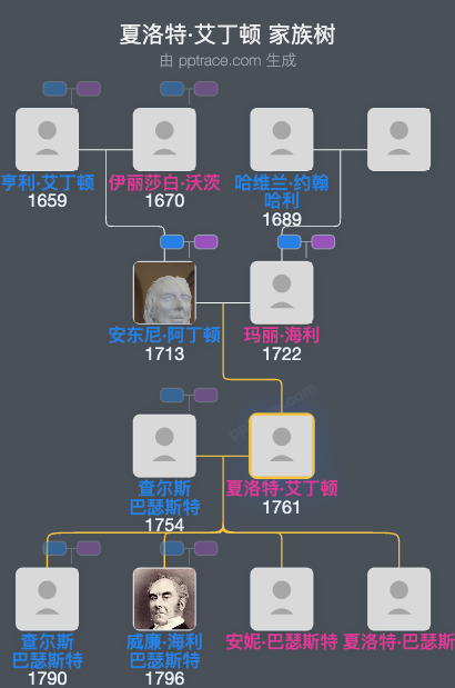 夏洛特·艾丁顿家族树全览