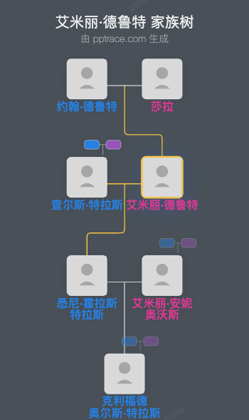艾米丽·德鲁特家族树全览