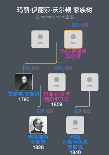 玛丽·伊丽莎·沃尔顿家族树全览