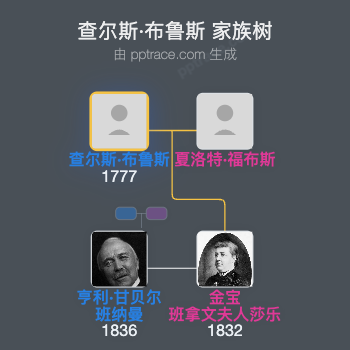 查尔斯·布鲁斯家族树全览